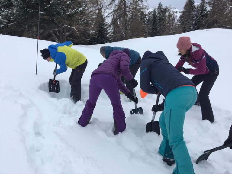 Formation avalanche